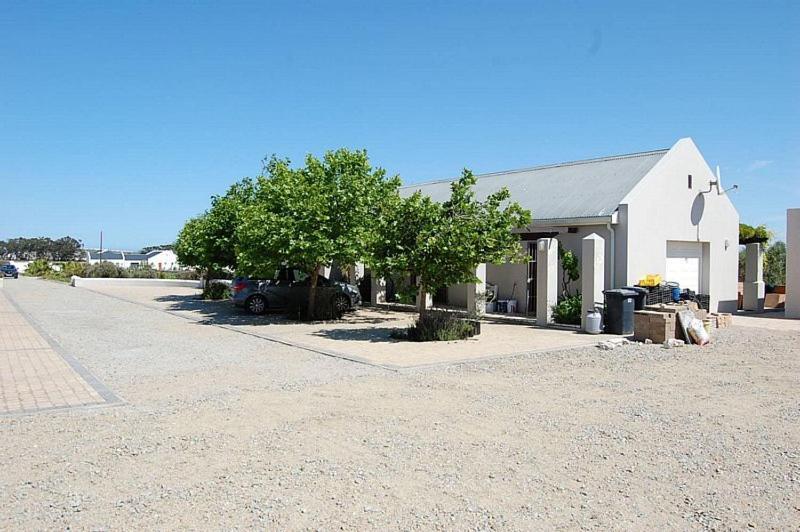 Longacre Olive & Vineyard Estate Guest House Langebaan Eksteriør bilde