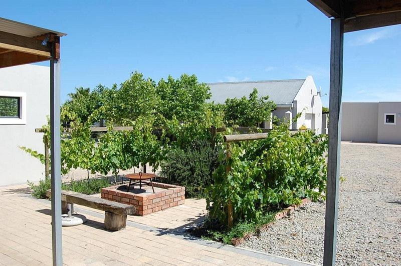 Longacre Olive & Vineyard Estate Guest House Langebaan Eksteriør bilde