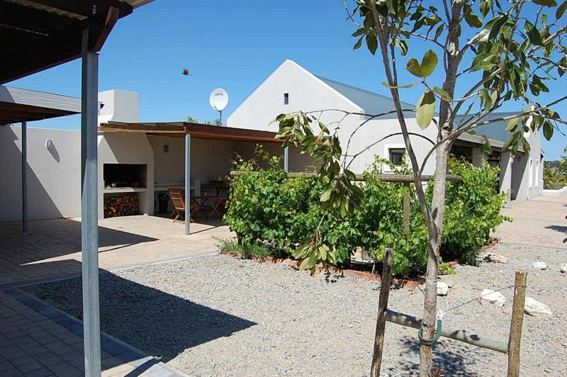 Longacre Olive & Vineyard Estate Guest House Langebaan Eksteriør bilde