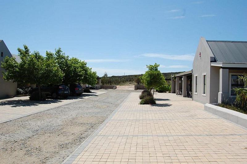 Longacre Olive & Vineyard Estate Guest House Langebaan Eksteriør bilde