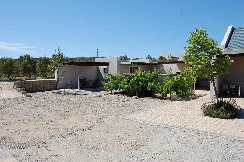 Longacre Olive & Vineyard Estate Guest House Langebaan Eksteriør bilde